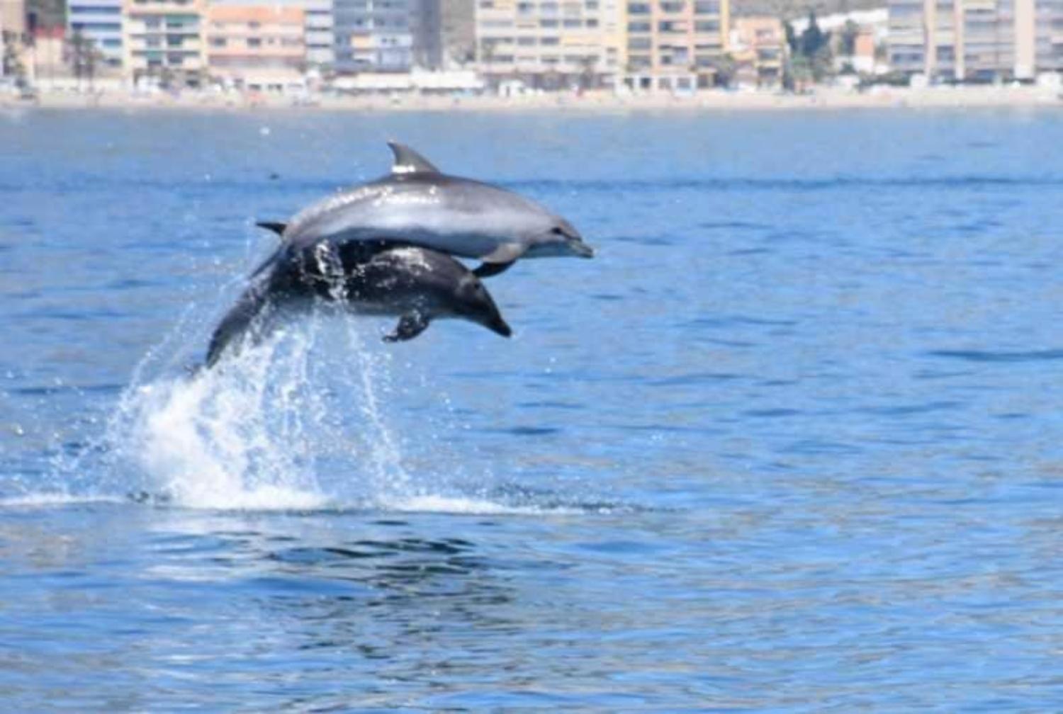 Primera Linea Del Mar - Acceso Directo Playa Carihuela Торремолинос Экстерьер фото